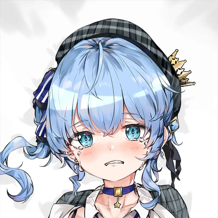 Suisei Dakimakura Anime Body Pillow Cover [momoyaro] (R18) ( Hololive ) by momoyaro - Heart Club